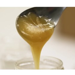 MIEL DE FLEURS CRÉMEUX 120 COUPELLES DE 20G