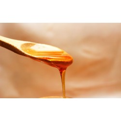 MIEL DE FLEURS LIQUIDE 48 POTS EN VERRE DE 25G