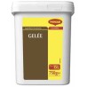 GELÉE MAGGI 750G / 15L