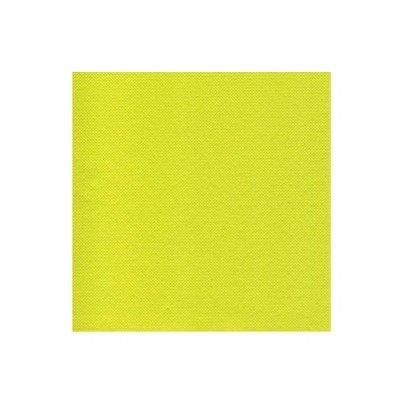 SERVIETTES PAPIER DOUBLE ÉPAISSEUR ANIS KIWI X 200 40 x 40 CM