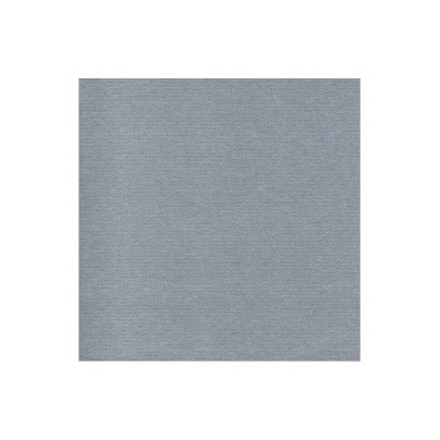 SERVIETTES PAPIER DOUBLE ÉPAISSEUR GRIS X 200  40x 40 CM