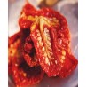 TOMATES SECHEES SACHET 1KG